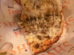 Cheese & Keema Naan